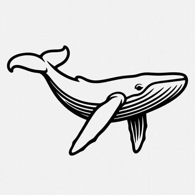 Humpback whale line art illustration
