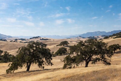 Golden Oak Hills Landscape with Mountains
