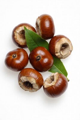 Horse chestnuts with leaves