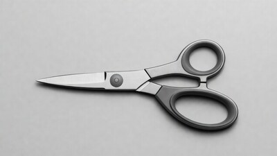 Black-handled stainless steel scissors