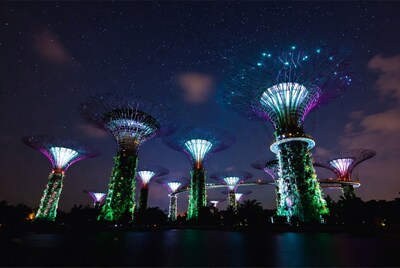 Gardens by the Bay Supertrees at Night