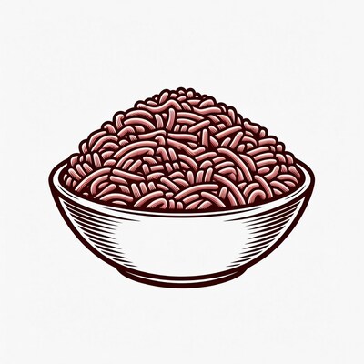 Bowl of Spaghetti Illustration