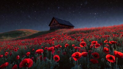 Barn in Red Poppy Field at Night