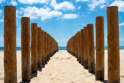 Wooden pilings lining beach path to ocean