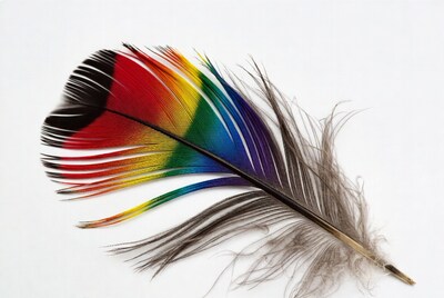 Colorful Rainbow Feather on White Background
