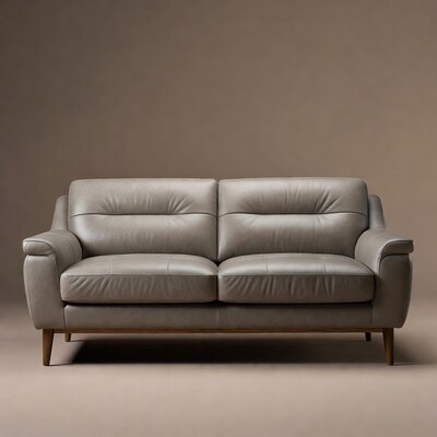 Gray leather sofa on beige background