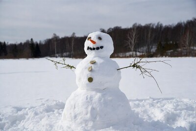 Snowman with carrot nose in snowy field