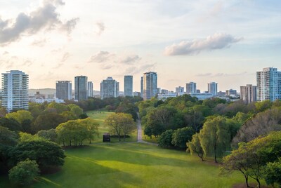 City Skyline Over Lush Green Park