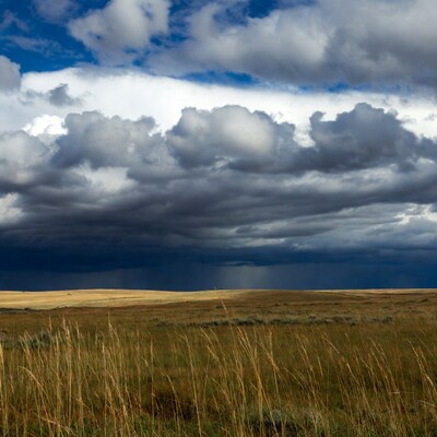 Stormy clouds over golden grassland