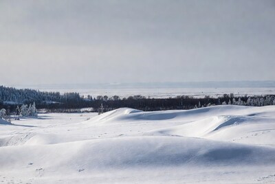Snowy Landscape with Dunes and Trees