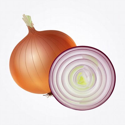 Whole Onion and Sliced Onion