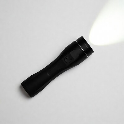 Black flashlight with bright beam