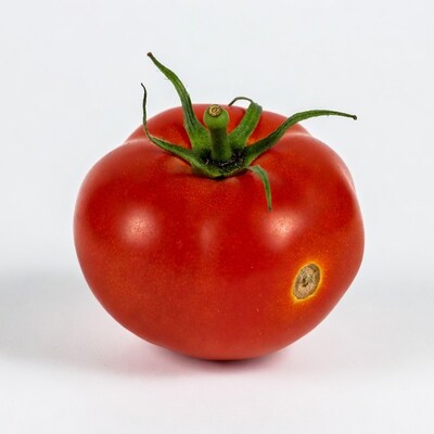 Red tomato with green stem