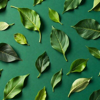 Green leaves on emerald background