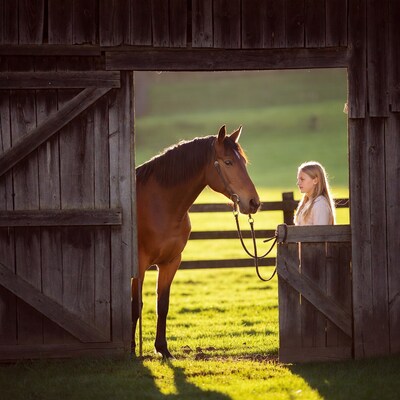 Girl holding horse at barn door