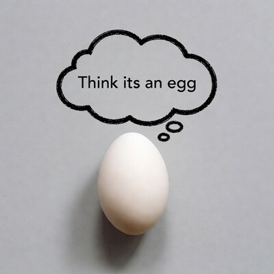 White egg with think its an egg speech bubble