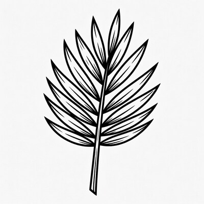 Palm Leaf Line Drawing