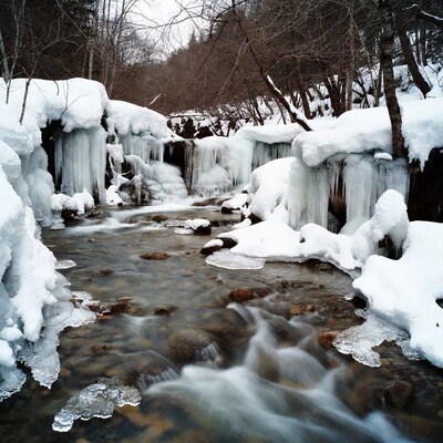 Winter Stream with Icicles and Snowy Forest