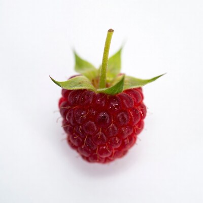 Raspberry on white background