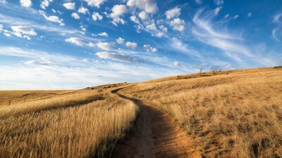 Dirt path through golden grass hills