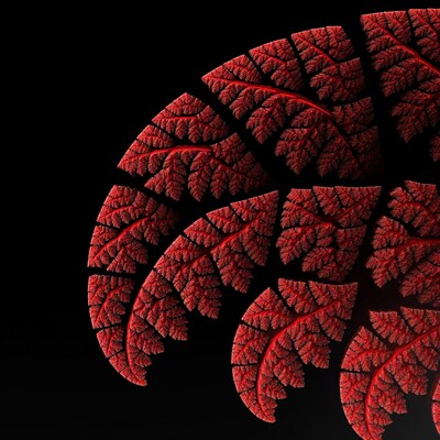 Red Fractal Leaves on Black Background