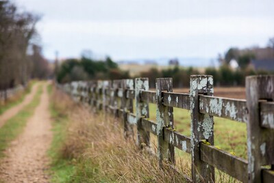 Old wooden fence along rural path