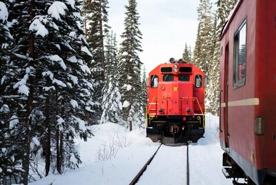 Red train in snowy forest
