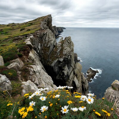Cliff edge with flowers over ocean