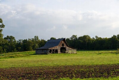 Old wooden barn in green field