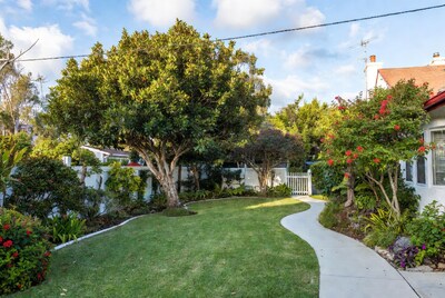 Lush backyard garden with winding path