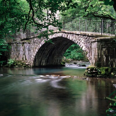 Stone arch bridge over forest stream