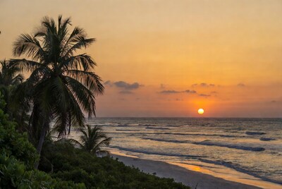 Palm Trees Sunset Over Tropical Beach