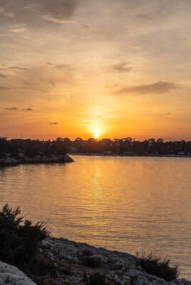Sunset over coastal bay with trees