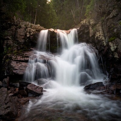 Waterfall cascading over rocks in forest