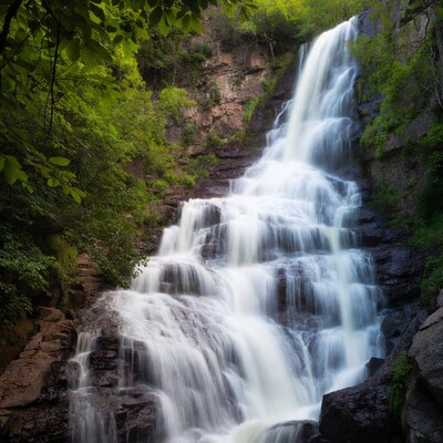 Waterfall cascading in lush green forest