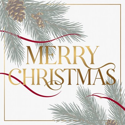 Merry Christmas with Pine Branches
