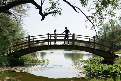 Couple holding hands on wooden bridge