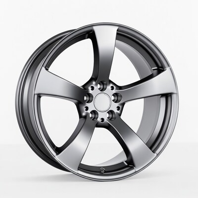 Shiny Black Alloy Wheel