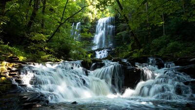 Waterfall cascading in lush green forest