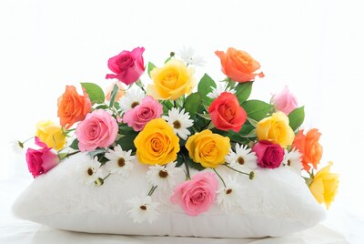 Colorful roses on white pillow