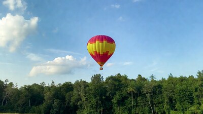 Colorful hot air balloon over forest