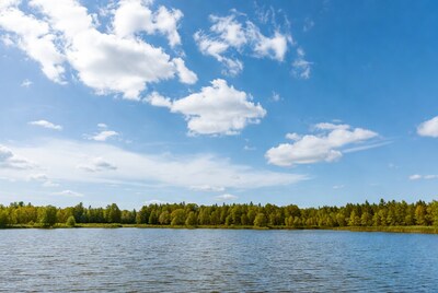 Lake with Forest and Blue Sky