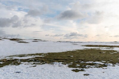 Snowy tundra landscape with green grass patches