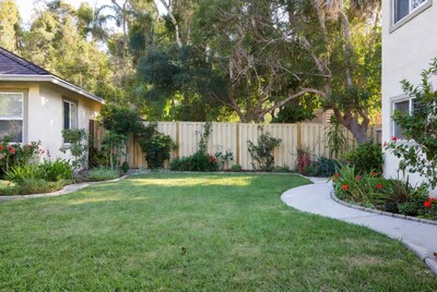 Backyard garden with houses and fence