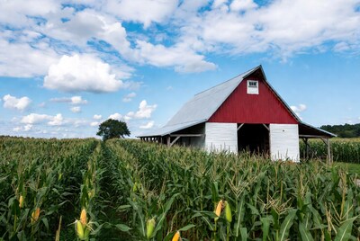 Red Barn in Corn Field