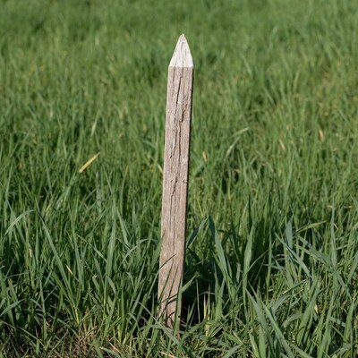 Wooden stake in green grass field