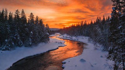 Snowy River Sunset with Pine Trees