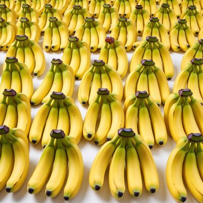 Red banana among yellow bananas