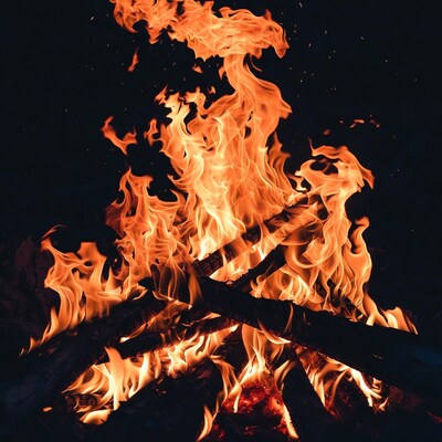 Blazing Campfire Flames on Wood