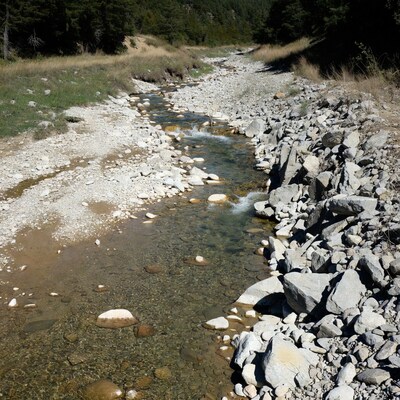 Mountain stream flowing over rocks